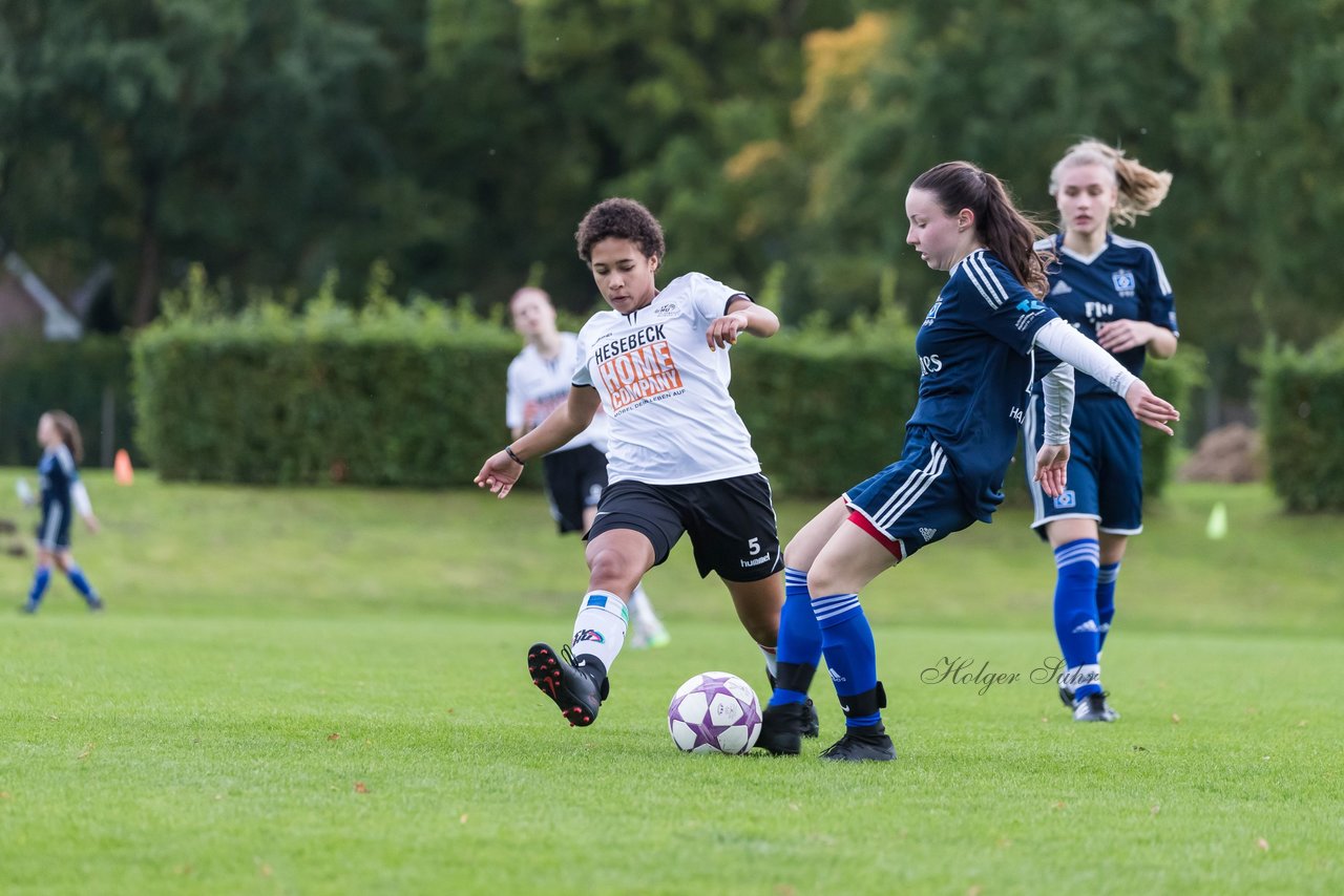 Bild 218 - B-Juniorinnen SV Henstedt Ulzburg - Hamburger SV : Ergebnis: 2:3